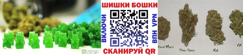 omg вход  Пошехонье  Canna-Cookies марихуана 