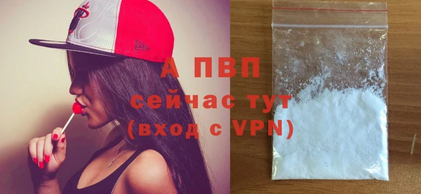 тгк Вяземский