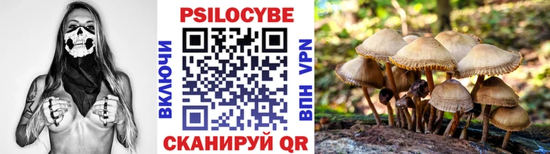 где купить наркоту  Пошехонье  Галлюциногенные грибы ЛСД 